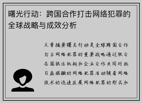 曙光行动：跨国合作打击网络犯罪的全球战略与成效分析